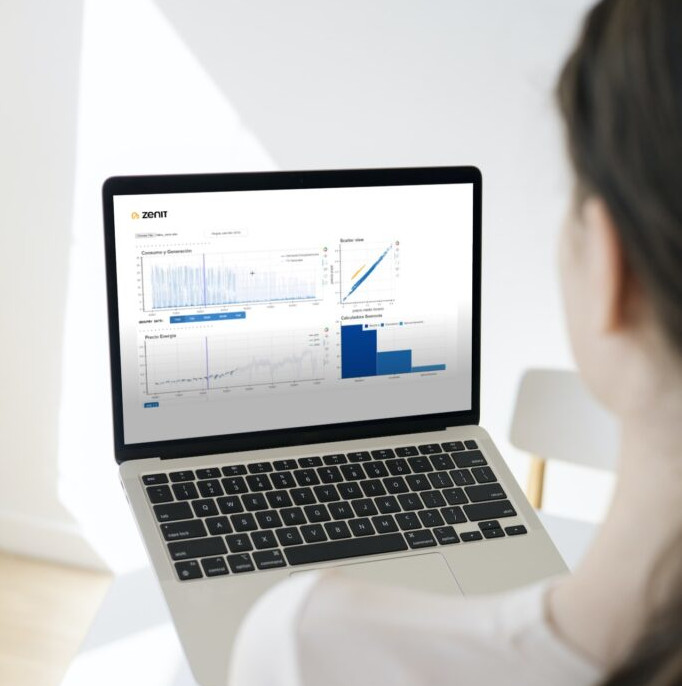 Optimizador de Reparto